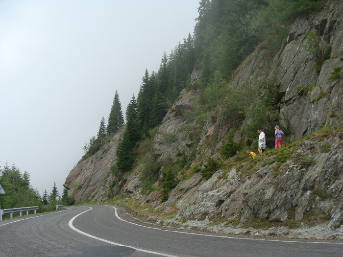 DSC08635 - Transfagarasan