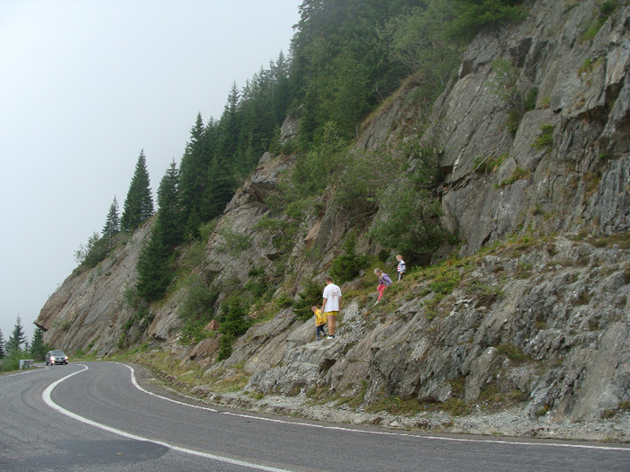 DSC08637 - Transfagarasan