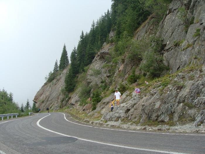 DSC08638 - Transfagarasan