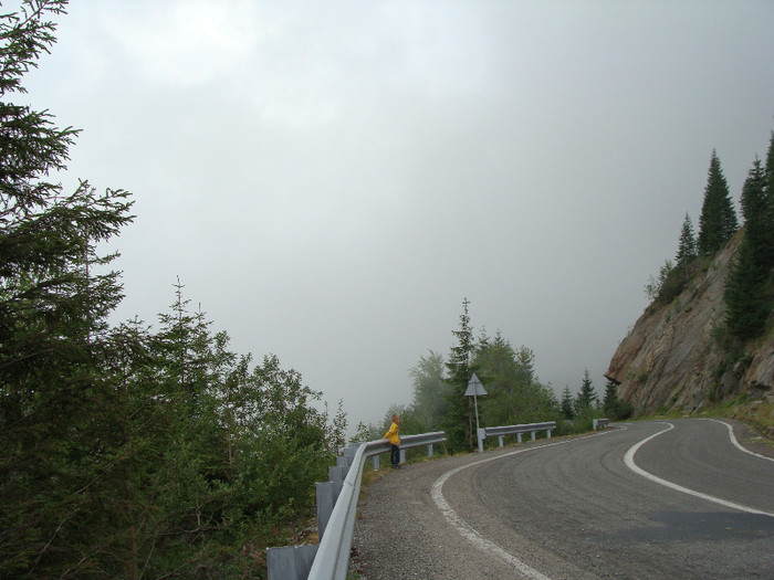 DSC08640 - Transfagarasan