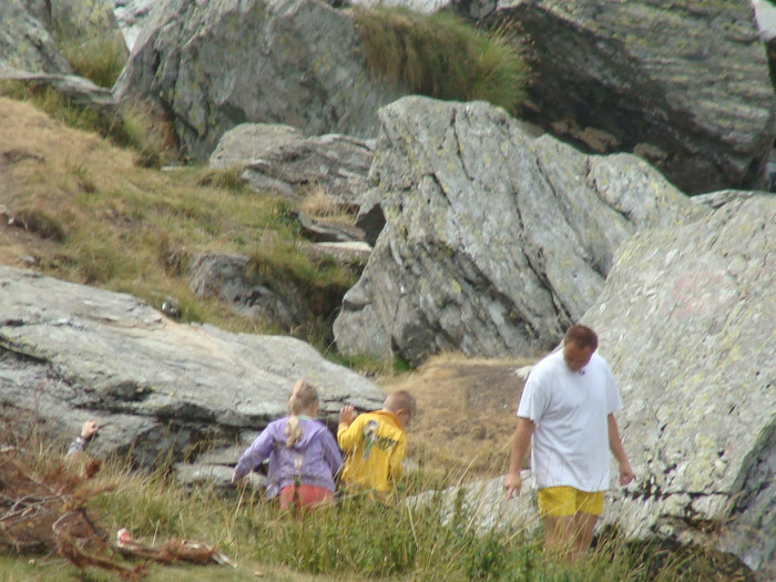 DSC08668 - Transfagarasan