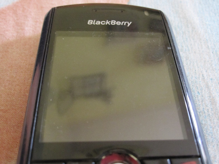 IMG_4311 - blackberry