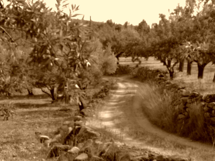 090820123503 - A1 alb  negru si un pic de sepia