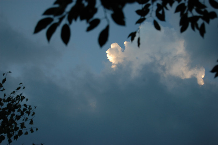 DSC_0217 - vara  2012