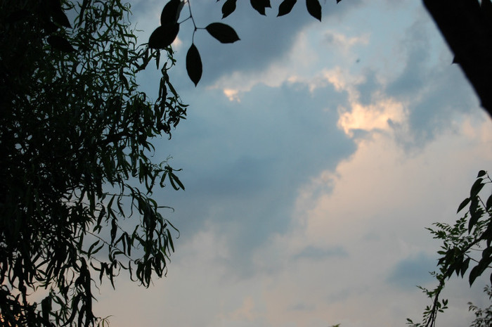 DSC_0219 - vara  2012