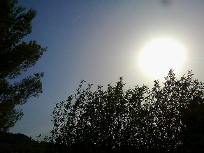 090820123532 - A3 in fuga masini-cer si pamant