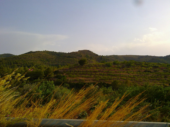 090820123544 - A3 in fuga masini-cer si pamant