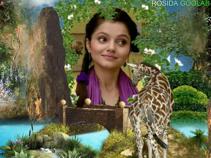 qmvK1 - RUBINA DILAIK NEW 3