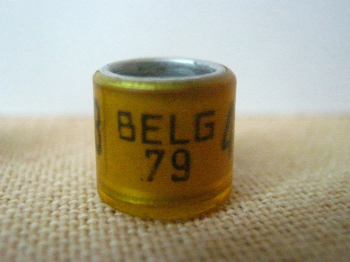 BELG  79