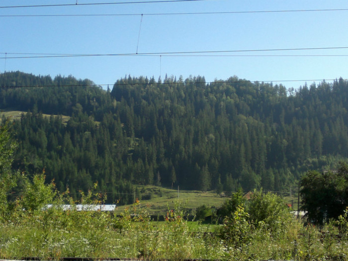 020720121159 - la stana 2012