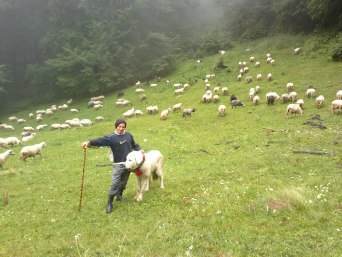 230720121251 - la stana 2012