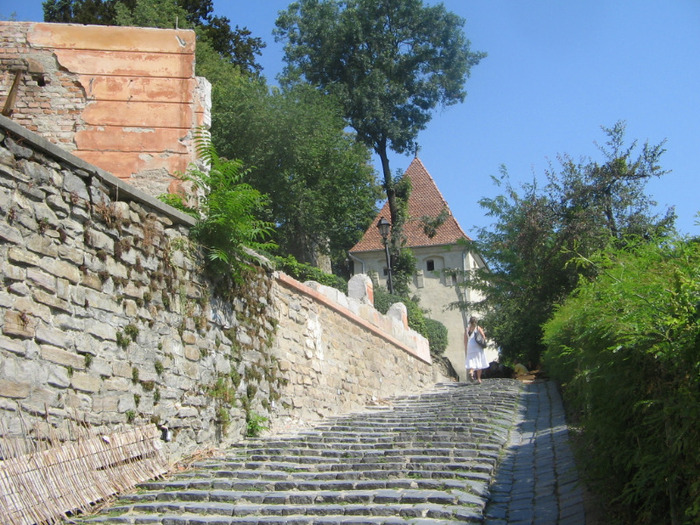 IMG_6910; Cetatea Sighişoarei.
