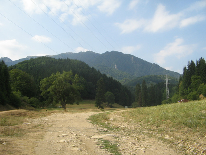IMG_7054; Masivul Piatra Mare , văzut de la Dâmbu Morii.
