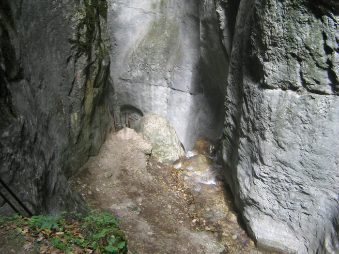IMG_7109; Canionul 7 Scări.
