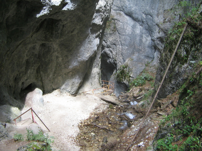 IMG_7114; Canionul 7 Scări.
