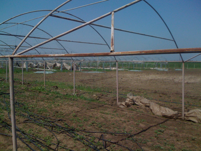 Picture 028 - solarii 2012
