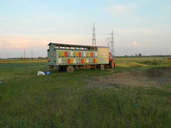 DSCN0483 - PASTORAL 2012