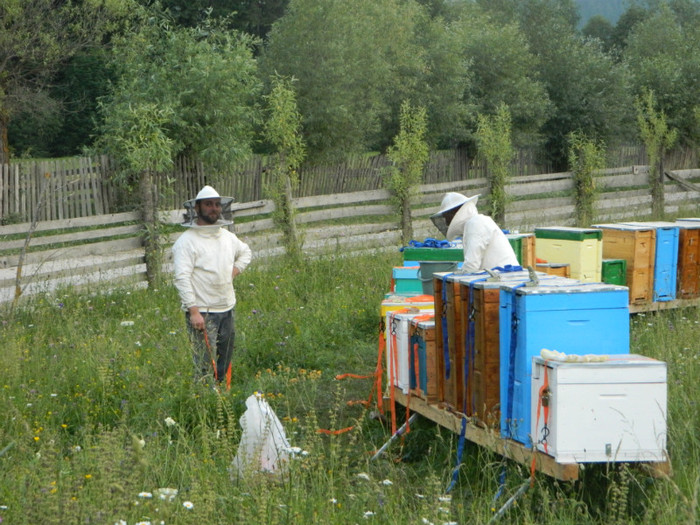 DSCN9978 - PASTORAL 2012