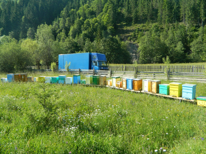 DSCN9967 - PASTORAL 2012