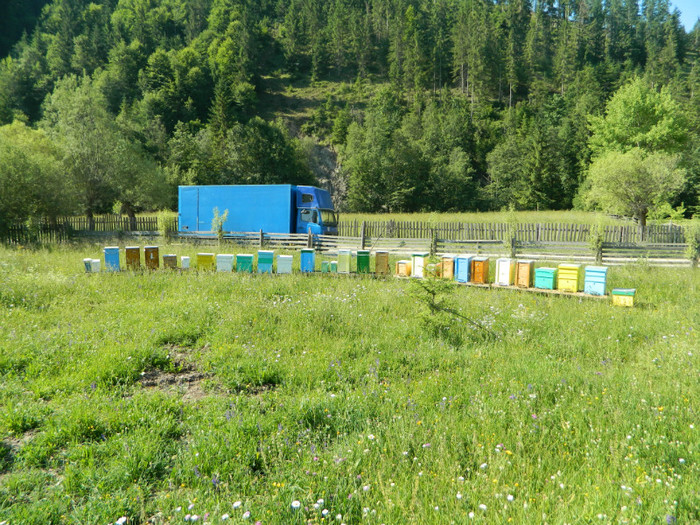 DSCN9968 - PASTORAL 2012