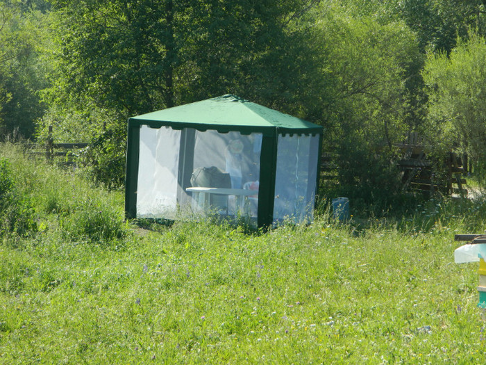 DSCN9969 - PASTORAL 2012