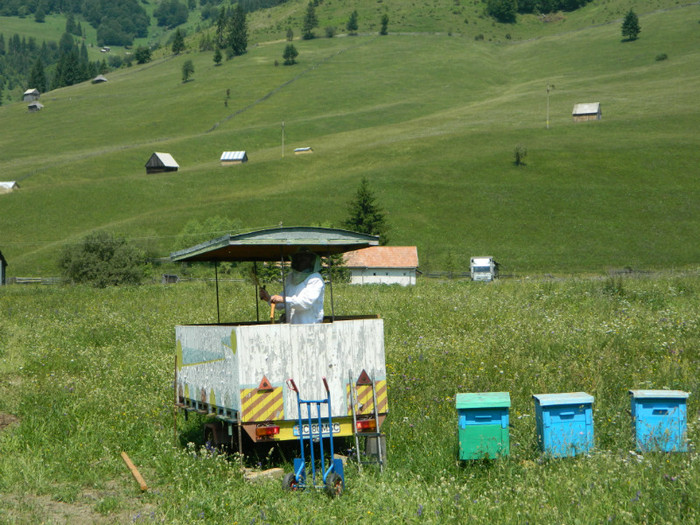 DSCN9970 - PASTORAL 2012