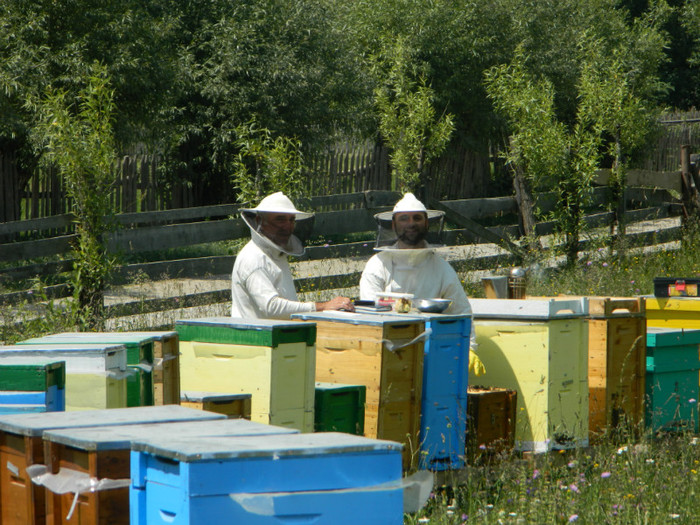 DSCN9971 - PASTORAL 2012