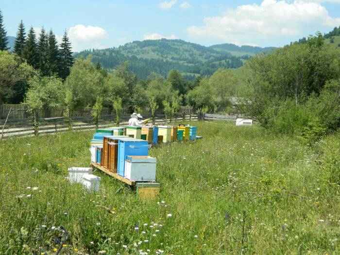 DSCN9973 - PASTORAL 2012