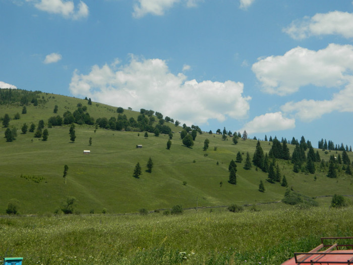 DSCN9975 - PASTORAL 2012