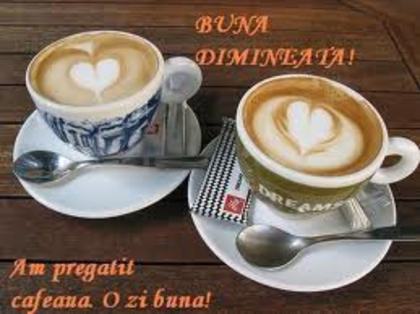 ralucagabriela - Cafeaua potrivita pentru tine