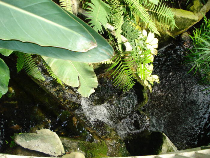 cascada - Gradina Botanica Jibou