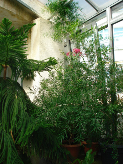 DSC06553