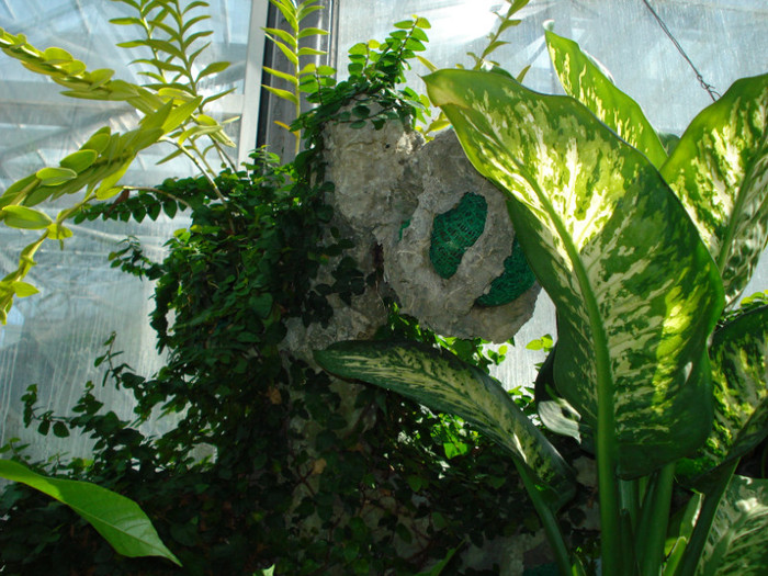 DSC06535