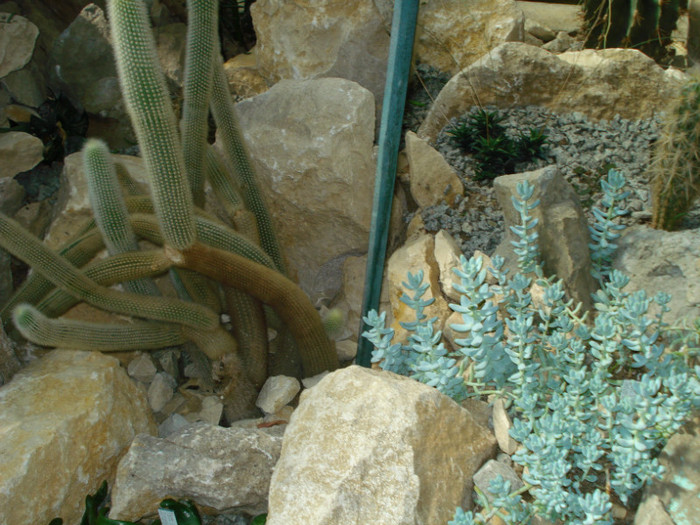 DSC06609