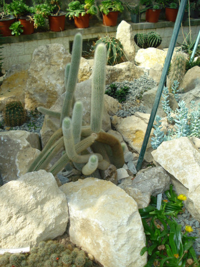 DSC06610