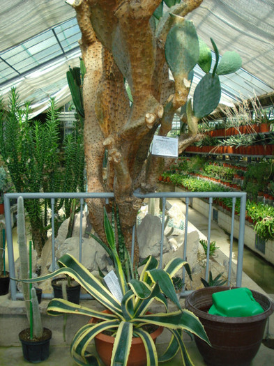 DSC06616
