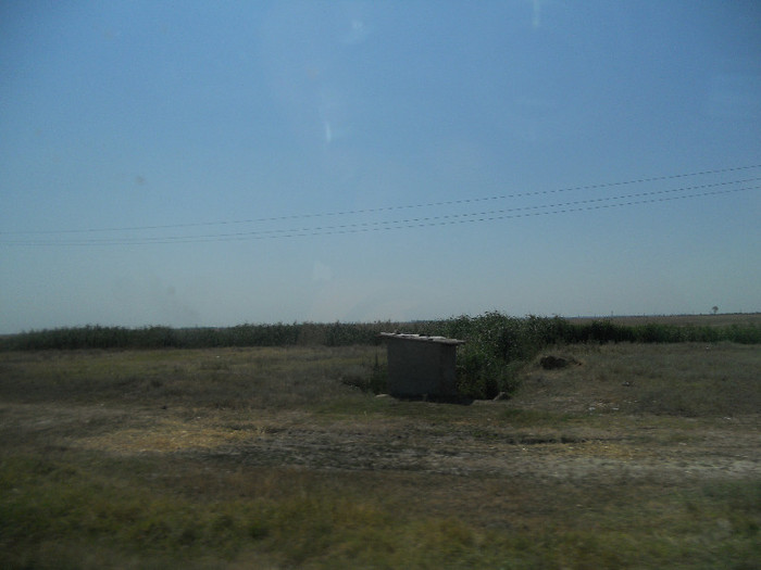 Picture 786