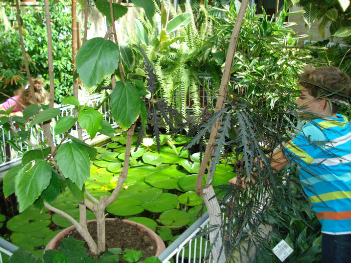 DSC06577