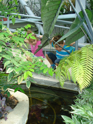 ne uitam la broscute testoase...