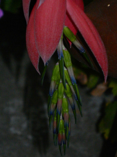 DSCN7775