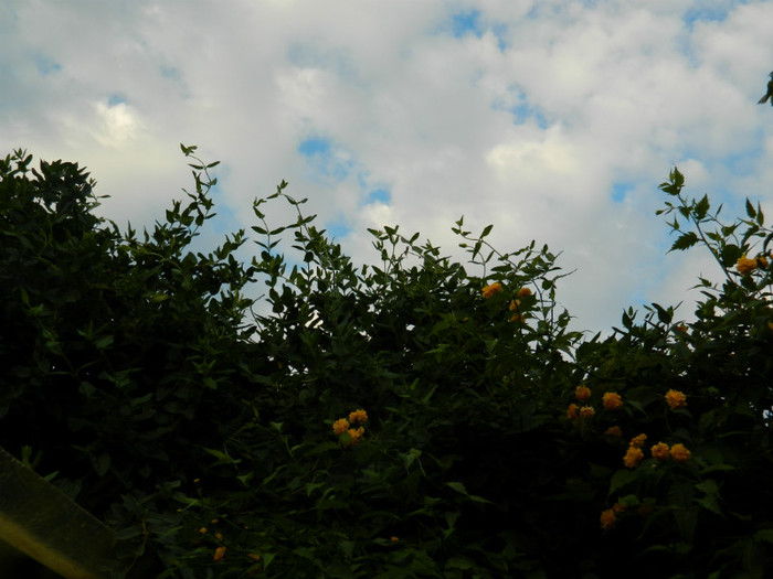 DSCN7791 - August 2012