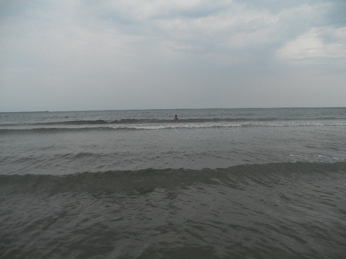 Picture 892