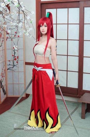 11 - Fairy tail cosplays