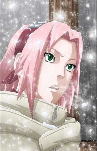 -Sakura-haruno-sakura-9655488-503-785 - sakura haruno