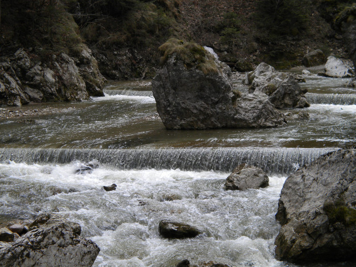 DSCN0785