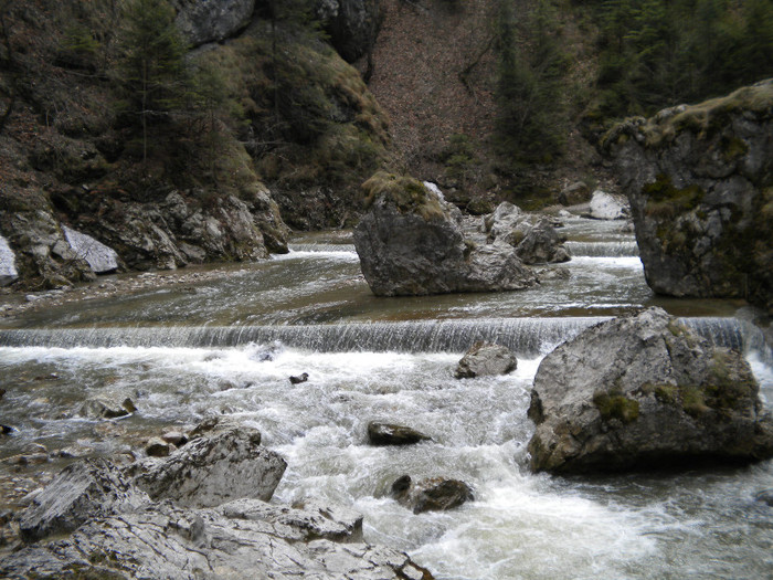 DSCN0786