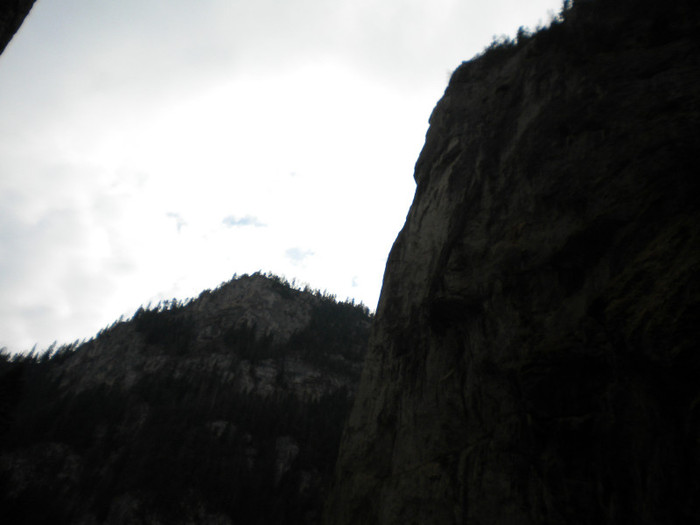 DSCN0787
