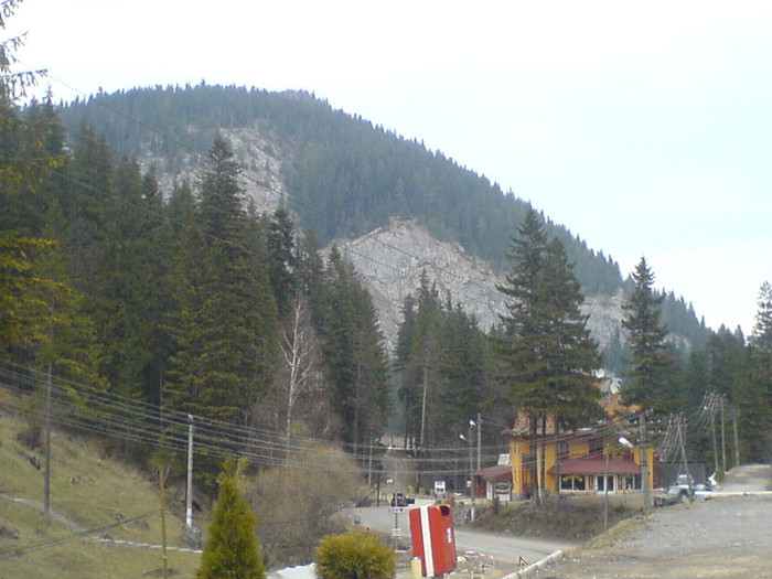 DSC02398