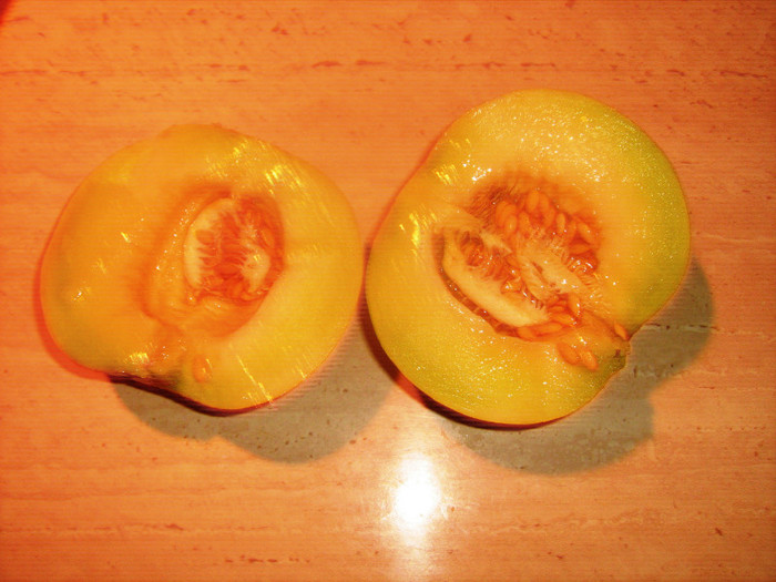sectiune rotund mic zemos - pepene galben