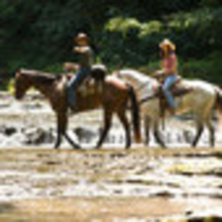 hannah-montana-the-movie-132388l-thumbnail_gallery - Hannah Montanna